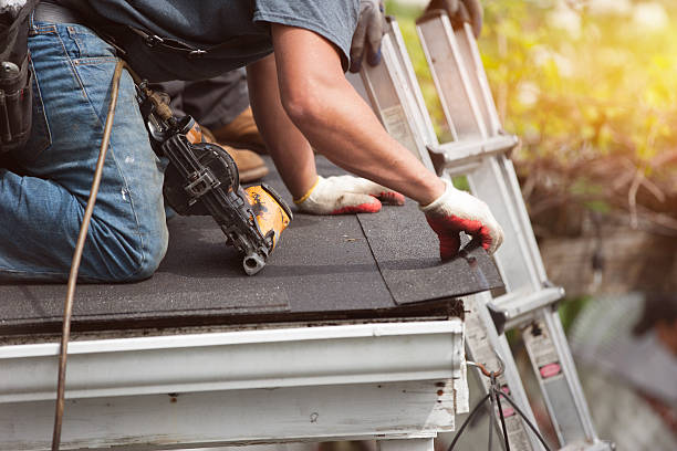 Best Storm Damage Roof Repair  in Petersburg, IL